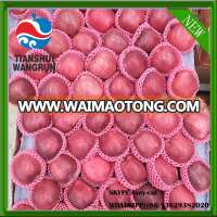 apple price of China chinese red apple huaniu apple fruit apple product fruit apples