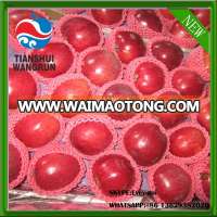 chinese red apple red huaniu apples fresh apples red apple factory china apple