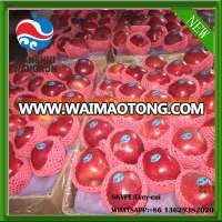 china apple red apples fresh huaniu apples apple price red apple factory red delicious apples