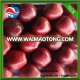 chinese red apple red huaniu apples fresh apples red apple factory china apple