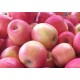 Fresh Pinklady Apples